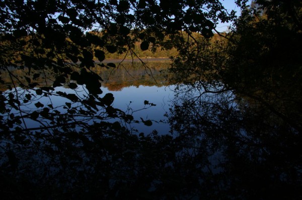 L'Etang-neuf
Mots-clés: forêt étang eau