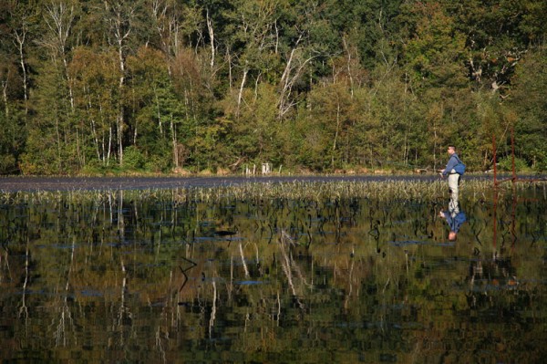 Pêcheur sur l'Etang-neuf
Mots-clés: forêt étang eau