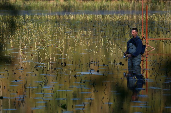 Pêcheur sur l'Etang-neuf
Mots-clés: forêt étang eau pêche