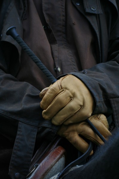 Les mains du meneur
Mots-clés: meneur attelage mains gants cuir