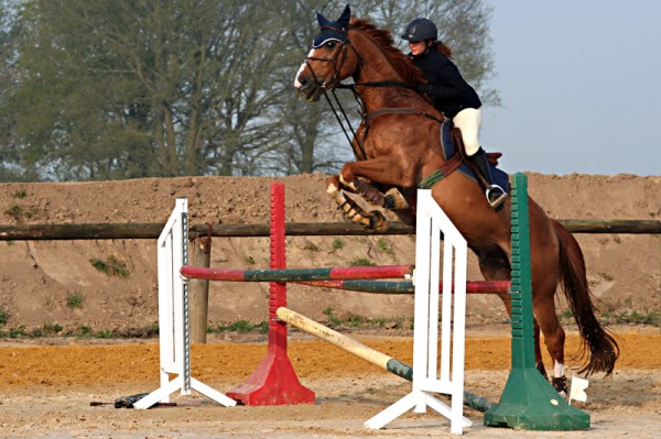 Armelle et Valentino
Mots-clés: cheval cso saut