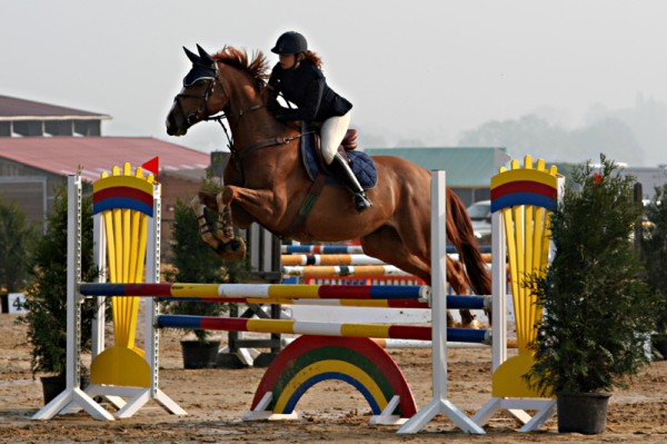 Armelle et Valentino
Mots-clés: cheval cso saut