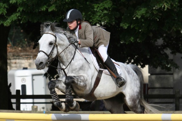 Chloé et Jokey
Mots-clés: cheval cso saut