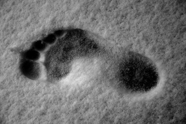 Empreinte dans la neige
Mots-clés: pied neige
